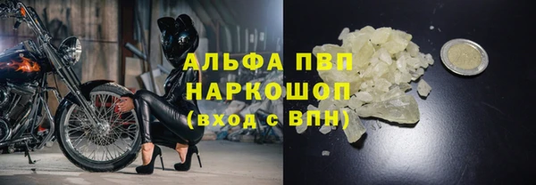 спайс Беломорск