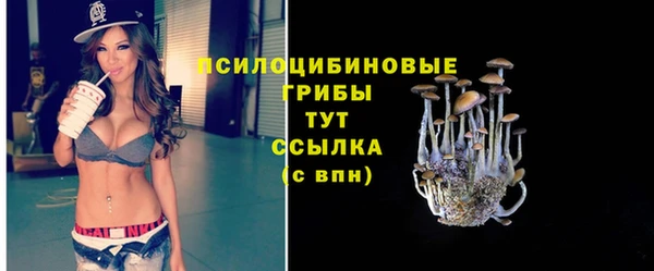 спайс Беломорск