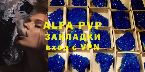 спайс Беломорск