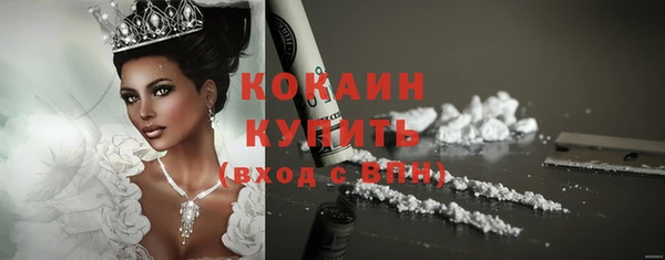 стаф Белокуриха
