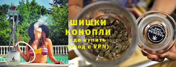 стаф Белокуриха