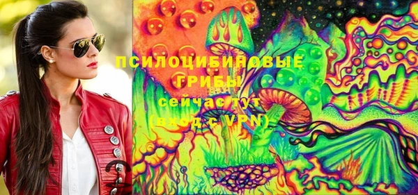 стаф Белокуриха
