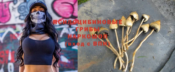 стаф Белокуриха
