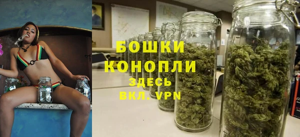 стаф Белокуриха
