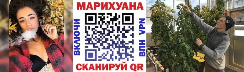 Бошки марихуана сатива  omg вход  Железногорск-Илимский 